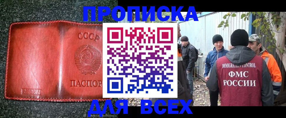 временная регистрация поиск в Заинске